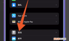 苹果自动填充密码怎么设置，苹果手机短信验证码自动填充怎么设置