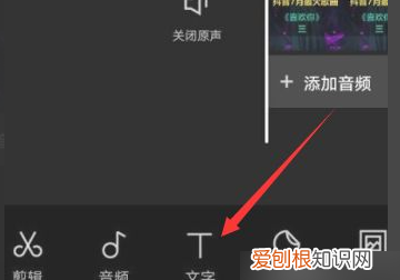 抖音怎么制作独白，抖音怎么加字幕和配音设置时长怎么弄的