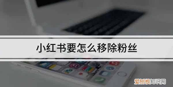 小红书怎么移除粉丝