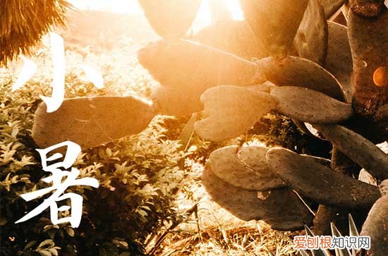 2023小暑是头伏吗 头伏第一天是哪一天2023