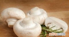 新鲜蘑菇可以放多久不能吃