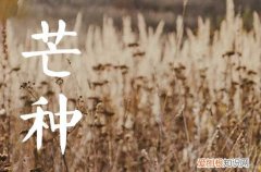 明日芒种,2023年芒种是几月几号