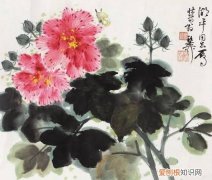 蒂萼是什么意思，花鸟画中木本花如何画的