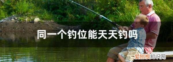 老钓位可以天天钓，同一个钓位能天天钓到鱼吗