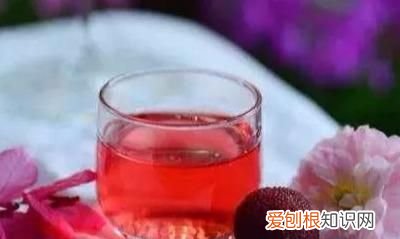 家庭自酿水果酒的实践研究与推广 自制果酒哪种水果做的酒好喝