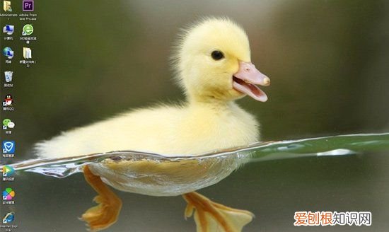 文本文档怎么改格式，wps文档怎么更改文件类型