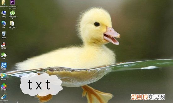 文本文档怎么改格式，wps文档怎么更改文件类型