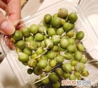 豌豆放冰箱发芽能吃吗，青豌豆可以放冰箱冷藏