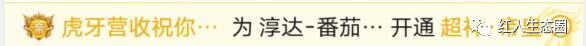 帅比在石250跟小杨哥直播回放 帅比在石250户外直播地位