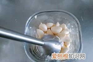 如何保鲜蒜蓉，蒜蓉怎么保存