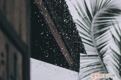 雨天天气幽默搞笑朋友圈文案80句