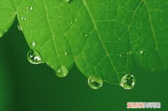 适合孤独雨夜伤感朋友圈文案80句