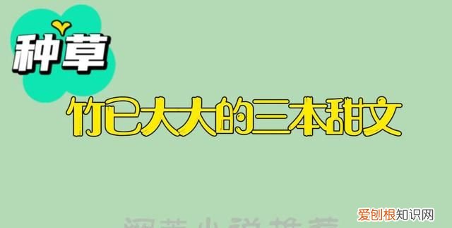 推3本竹已大大的甜文，本本高分精彩难忘，给我们的生活加点糖分