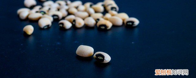 豆制品不能和什么食物一起吃 豆类不能和什么一起吃