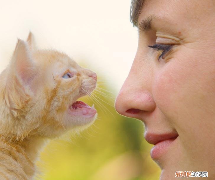 动物趣味小知识有哪些 动物趣味小知识手抄报