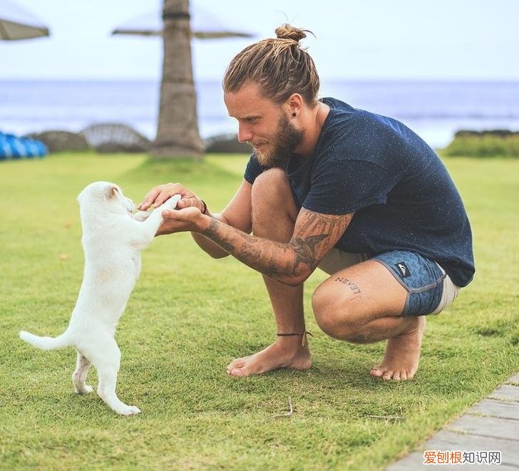 动物趣味小知识有哪些 动物趣味小知识手抄报