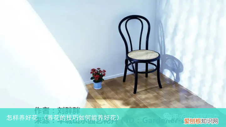 养花的技巧如何能养好花 怎样养好花