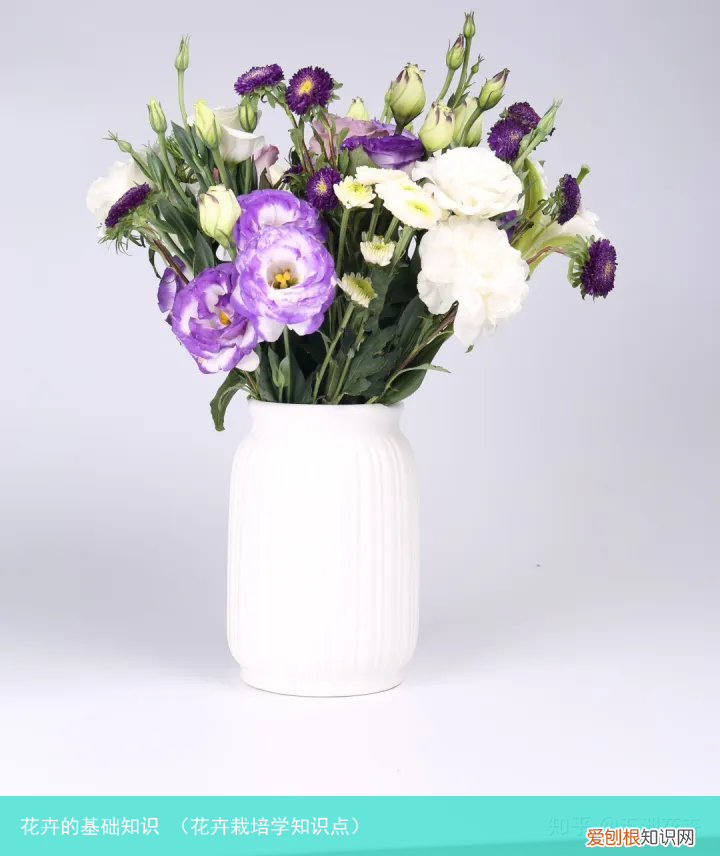 花卉栽培学知识点 花卉的基础知识