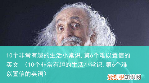 10个非常有趣的生活小常识,第6个难以置信的英语 10个非常有趣的生活小常识,第6个难以置信的英文