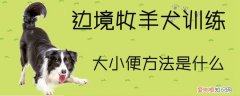 边境牧羊犬训练大小便方法是什么，边境牧羊犬怎么训练大小便