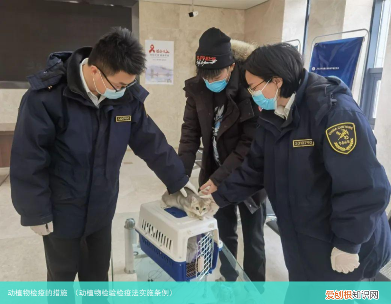 动植物检验检疫法实施条例 动植物检疫的措施
