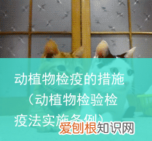 动植物检验检疫法实施条例 动植物检疫的措施