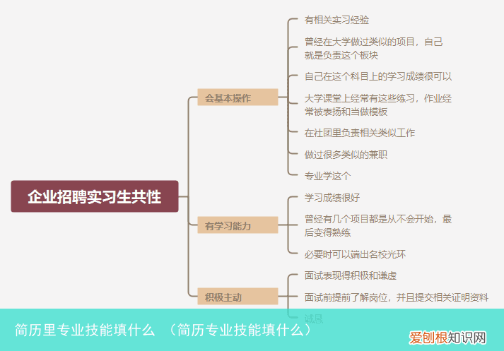 简历专业技能填什么 简历里专业技能填什么