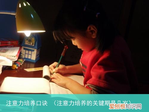 注意力培养的关键期是几岁 注意力培养口诀