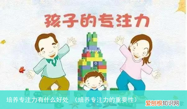 培养专注力的重要性 培养专注力有什么好处