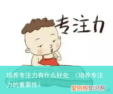 培养专注力的重要性 培养专注力有什么好处