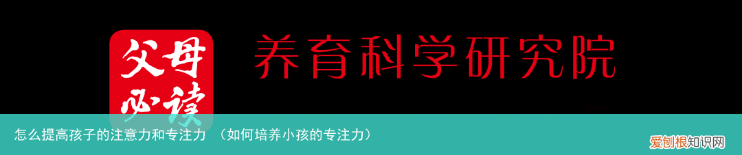 如何培养小孩的专注力 怎么提高孩子的注意力和专注力