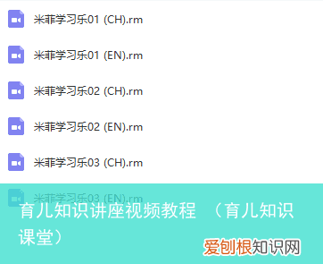 育儿知识课堂 育儿知识讲座视频教程
