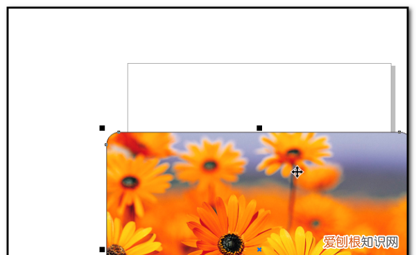 cdr圆角矩形怎么画，cdr软件里怎么把圆角改成直角