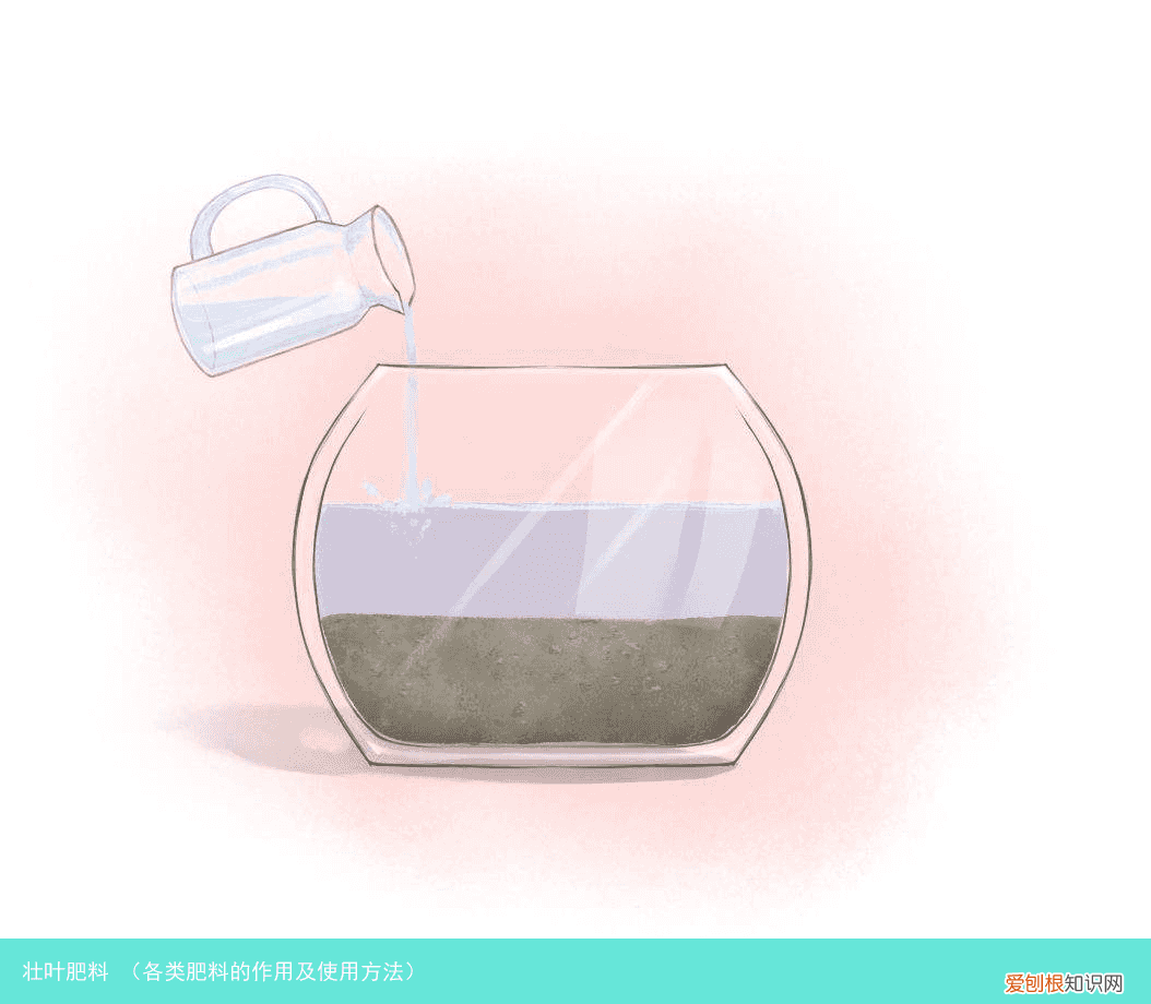 各类肥料的作用及使用方法 壮叶肥料