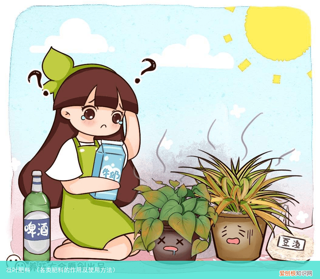 各类肥料的作用及使用方法 壮叶肥料