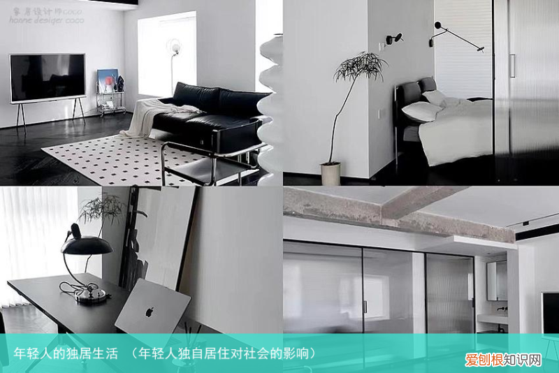 年轻人独自居住对社会的影响 年轻人的独居生活