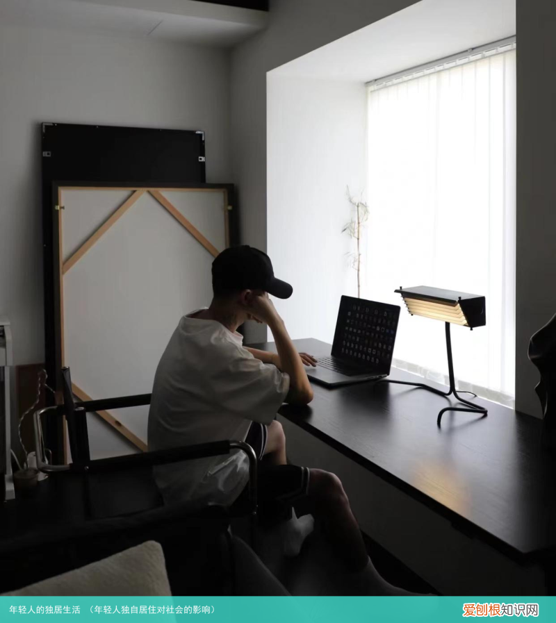 年轻人独自居住对社会的影响 年轻人的独居生活