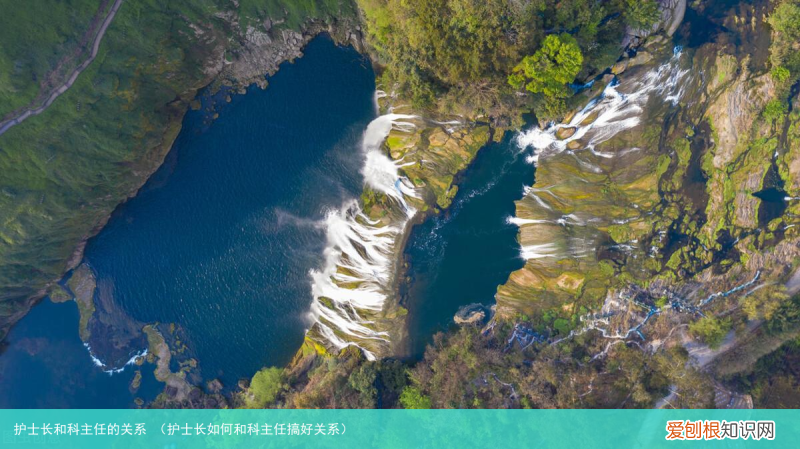 护士长如何和科主任搞好关系 护士长和科主任的关系