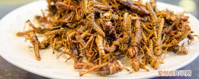炸蚂蚱对身体的害处 炸蚂蚱的好处和坏处