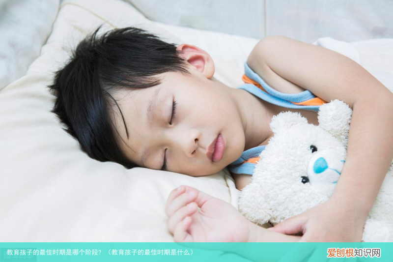 教育孩子的最佳时期是什么 教育孩子的最佳时期是哪个阶段?