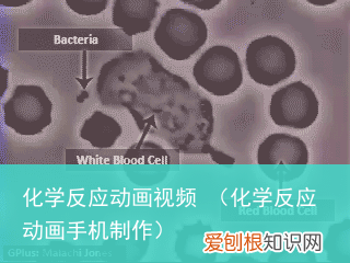 化学反应动画手机制作 化学反应动画视频