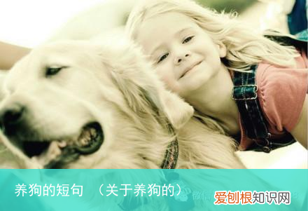 关于养狗的 养狗的短句