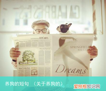 关于养狗的 养狗的短句