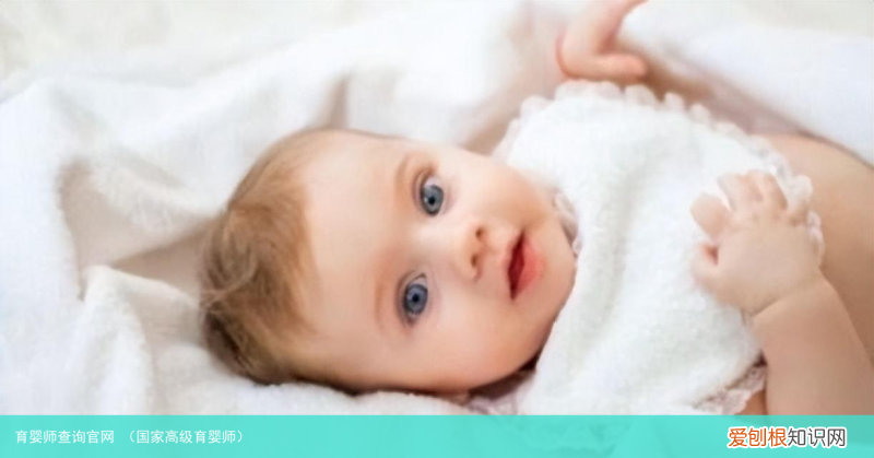 国家高级育婴师 育婴师查询官网