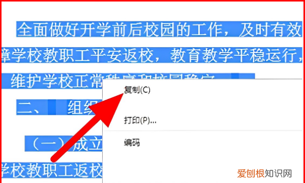 如何复制网页上不能复制的文字