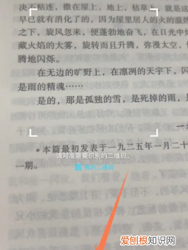如何复制网页上不能复制的文字