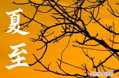 夏至是哪一天几月几号2023年