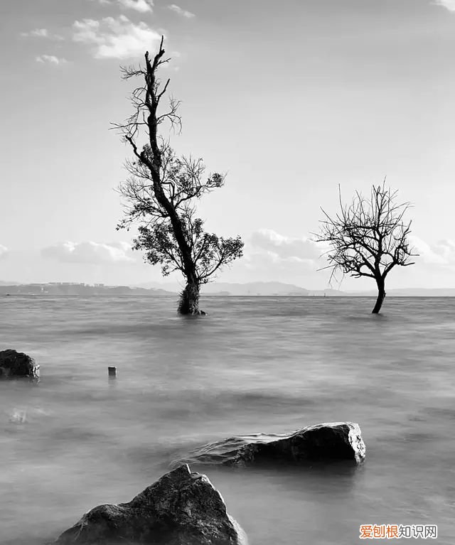 iphone 相机操作指南,iphone 13相机怎么调拍照最好