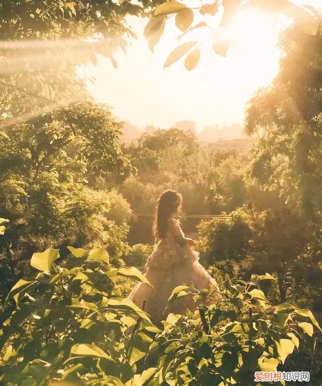 iphone 相机操作指南,iphone 13相机怎么调拍照最好