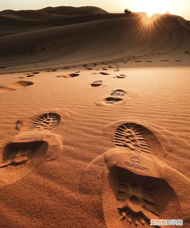 iphone 相机操作指南,iphone 13相机怎么调拍照最好